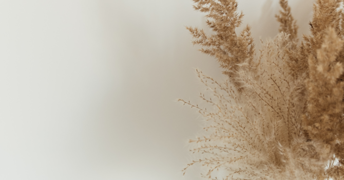Feeling Good, Living Fully: The Journey to Prioritizing YOU image