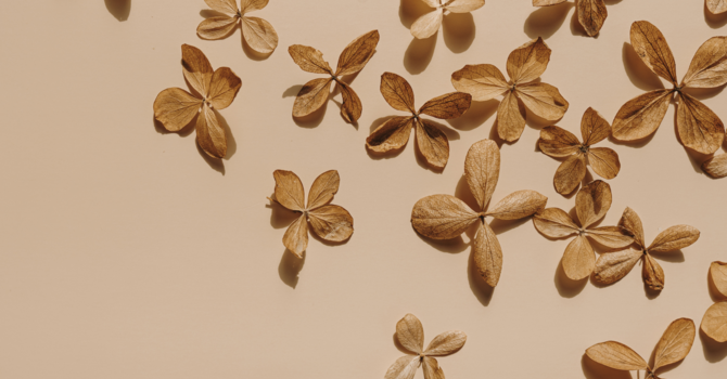 Bioidentical vs. Synthetic Hormone Replacement Therapy: What’s the Difference?