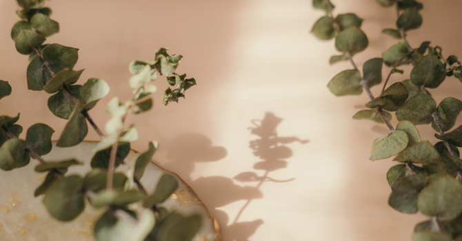 Feeling Good, Living Fully: The Journey to Prioritizing YOU