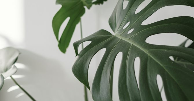 Feeling Good, Living Fully: The Journey to Prioritizing YOU