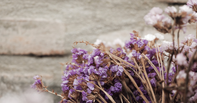 Bioidentical vs. Synthetic Hormone Replacement Therapy: What’s the Difference?