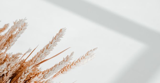 Feeling Good, Living Fully: The Journey to Prioritizing YOU image